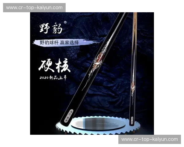 擂台之巅的博弈：硬核格斗与东方武学的血脉碰撞，谁才是终极生存法则？